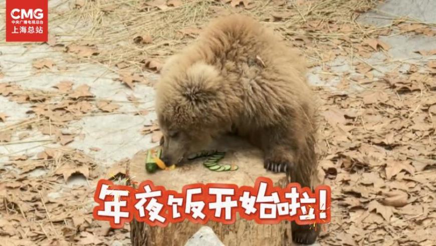 202管家婆一肖一吗香港王中王,哪吒2海外上映购票观众发声,完美答案解释落实_开发版V14.59
