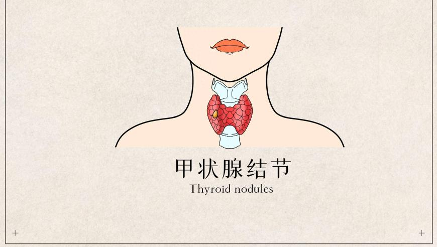 香港一肖一码精准正版管家婆,埃文凯尔又要来中国啦,完美答案解释落实_尊享版V1.76