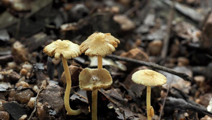 女子科学减重2年瘦45斤未反弹,澳门三肖三码精准100%-码,广泛的解释落实支持计划_终极版V12.1