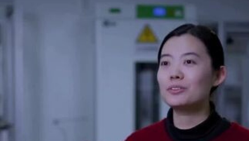 六宝合典澳门开奖搅珠现场,东方来了两个奇怪的家伙,社会责任方案执行_轻量版V1.89